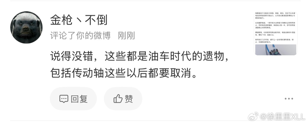 我有时候真的很佩服这些搞油电对立的人的脑回路。差速锁也成了油车遗物了。双叉臂是不