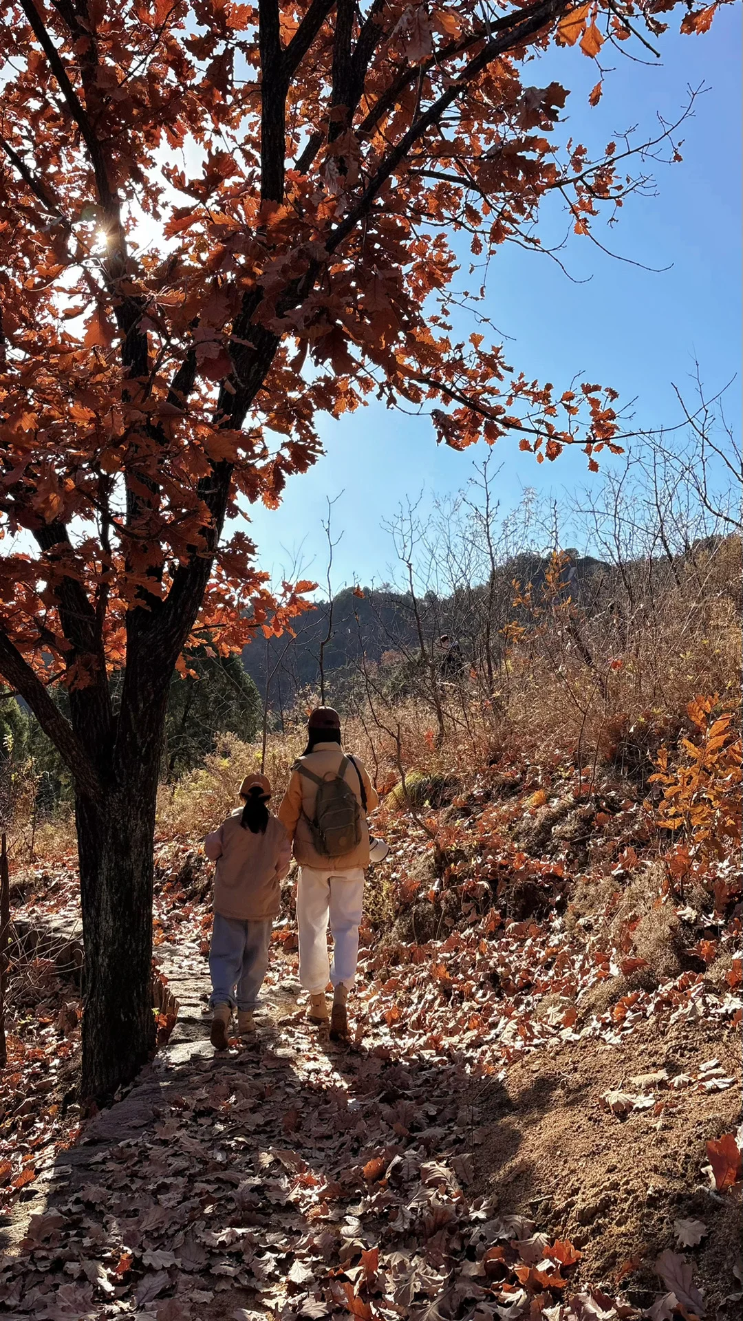 京北禅意秋色｜被低估的小众秘境🍂（附攻略）