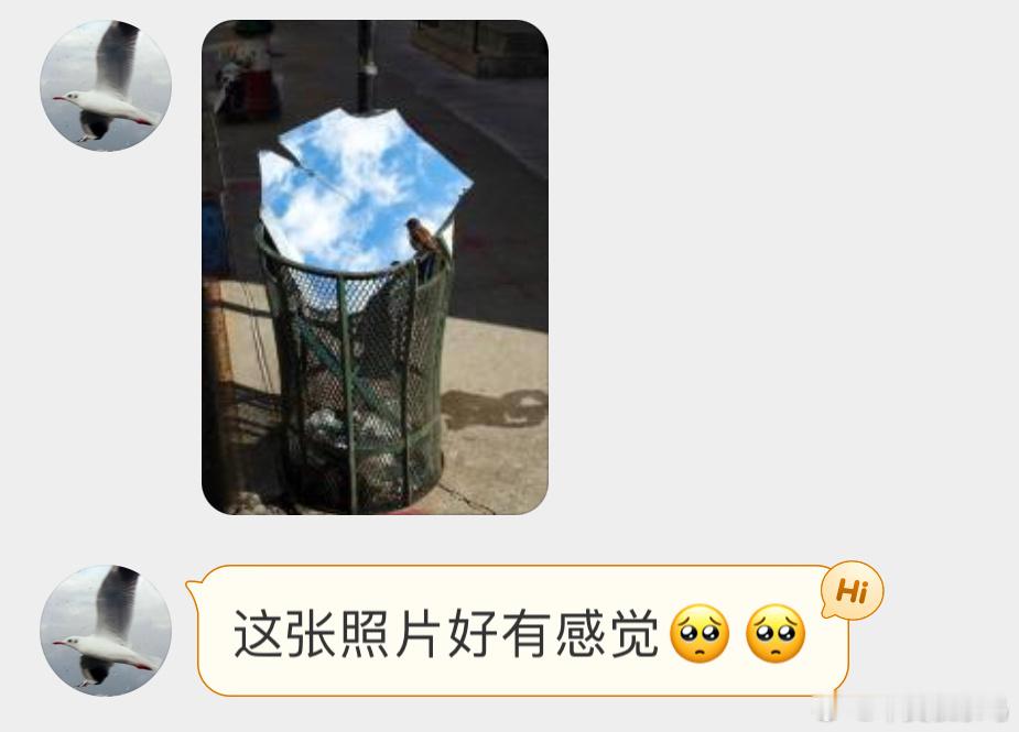 小麻雀望着镜子里的天空 ​​​