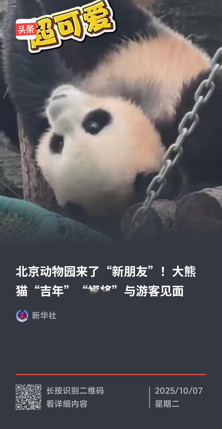 北京动物园热闹起来啦，来了21只“新朋友”，8种珍贵物种集体亮相。有堪称“蛇中之