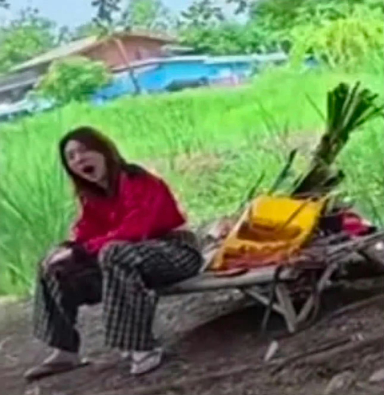 分享图片 