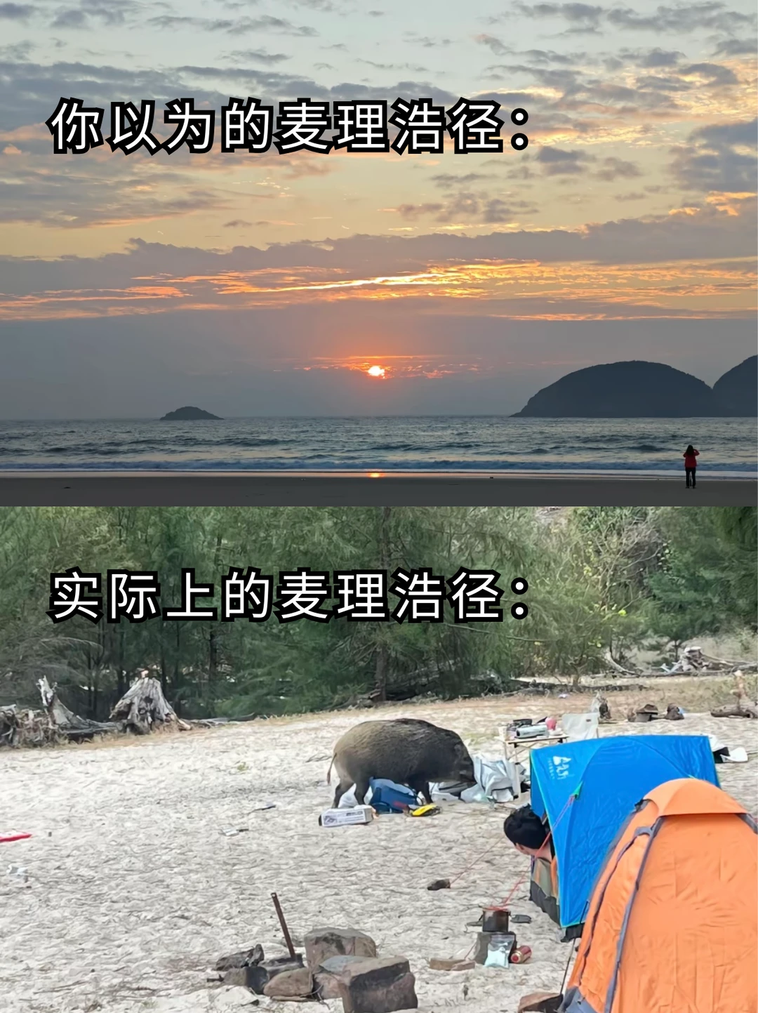 麦理浩径已回，拜托还没去的快进来听劝