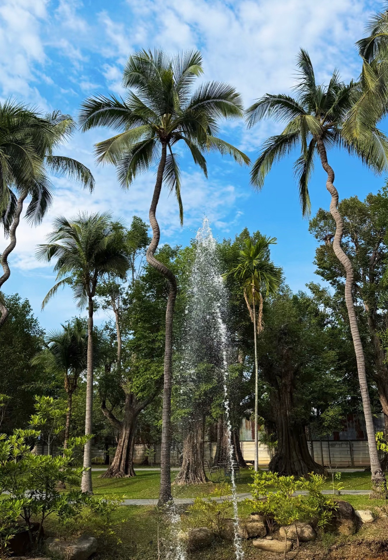 原来每个月都有适合旅游的城市旅行的浪漫藏在季节里！每个月都有专属目的地，春花、夏