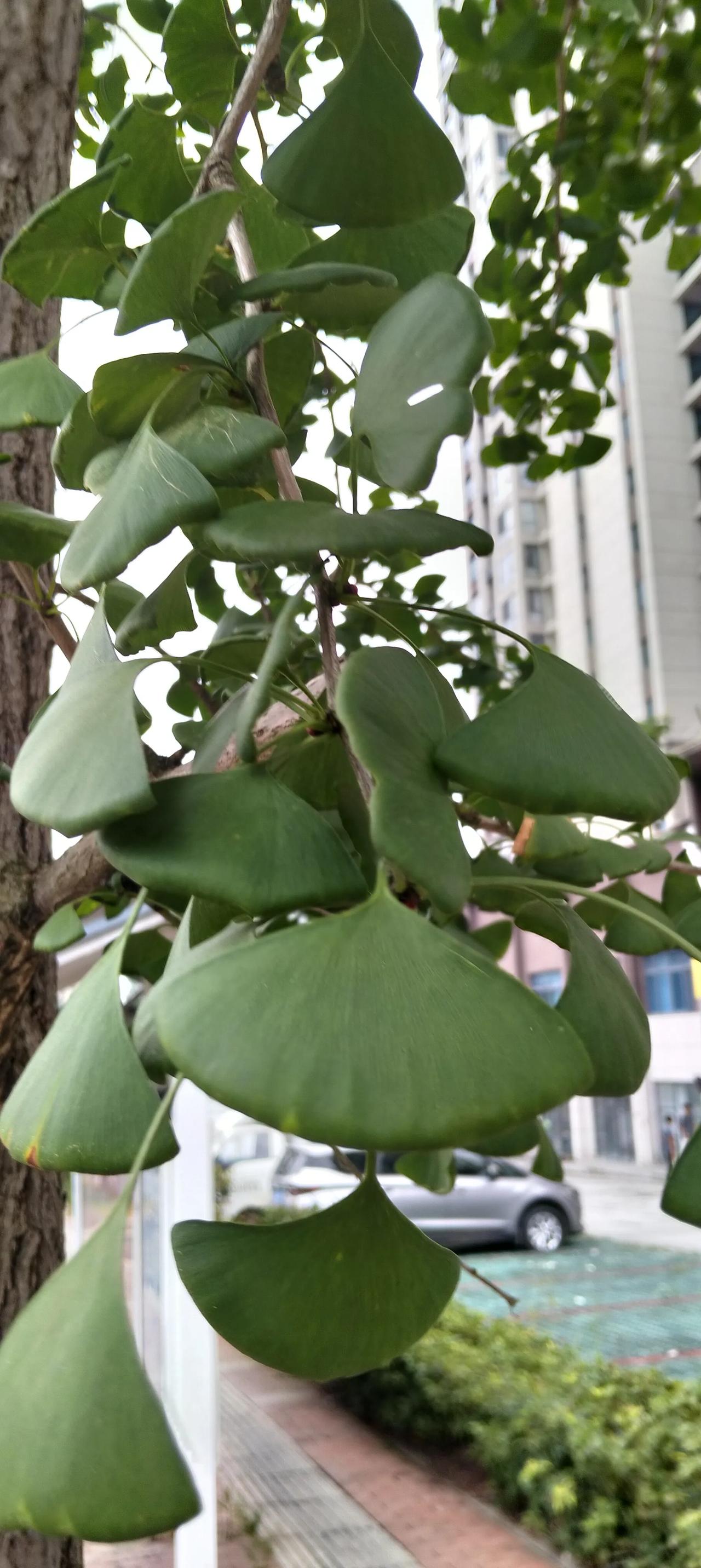 我老家一个女人，当年她老公在我们这里算得上富二代，用心去追求她，而她当时也只是普