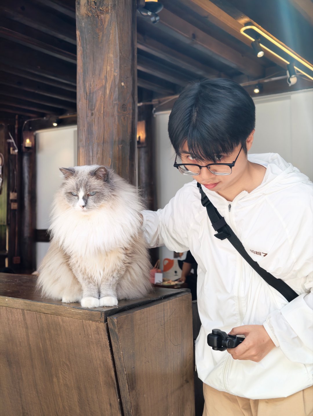 生活手记 小猫的雷霆姿势飞扑姿势！ 