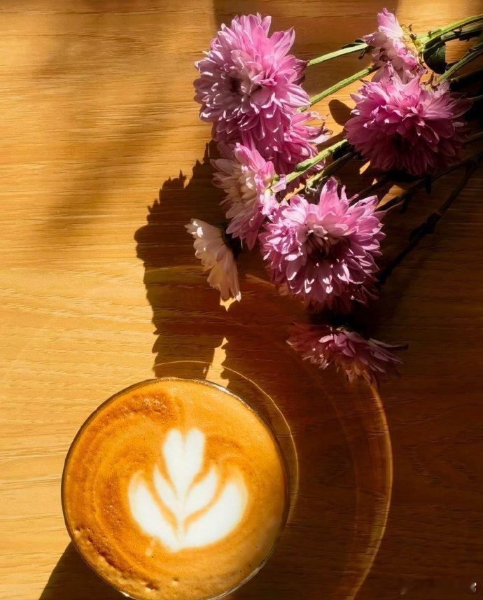 情感情感在爱情里，前人栽树，后人乘凉，能有多让人唏嘘。我同事曾拥有一个让身边人都