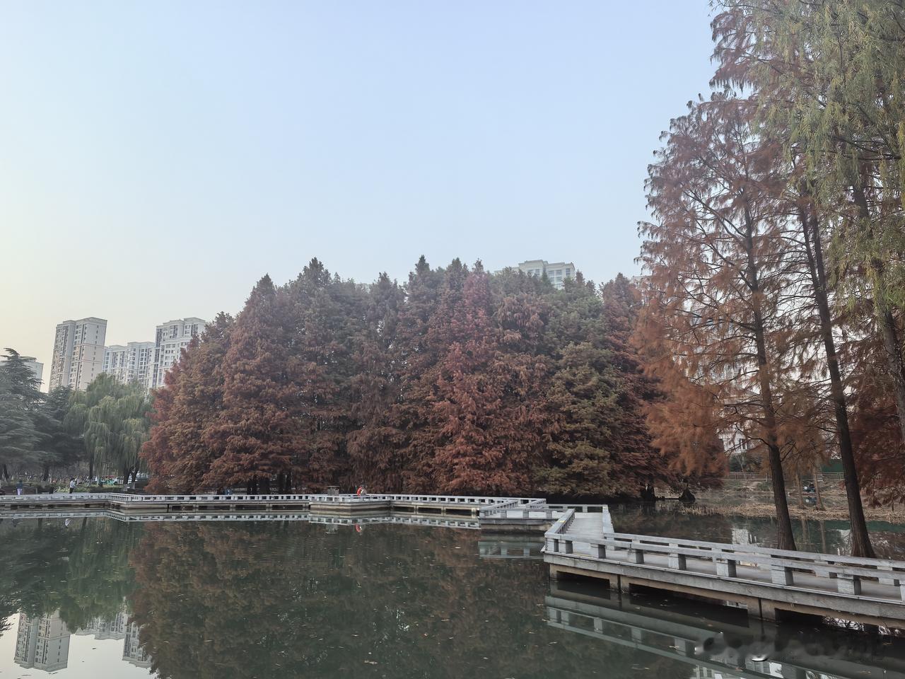 天已黑，路灯已开启，照亮了夜晚的城市 。

十字路口处，两个姑娘坐在折叠椅上，每