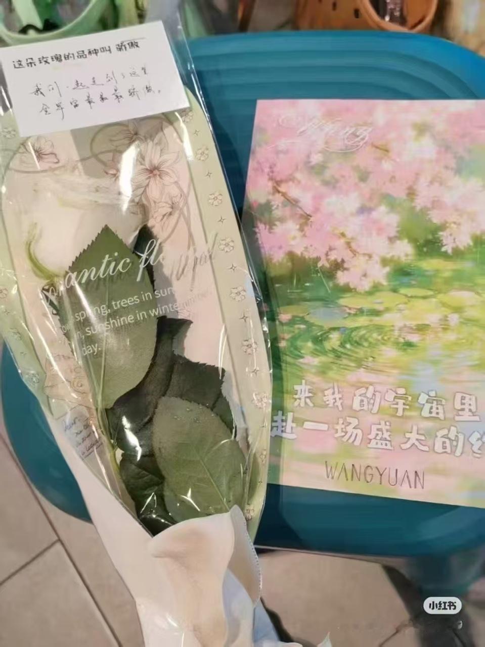 娱乐[超话]王源送的玫瑰花叫骄傲王源玫瑰花的品种叫骄傲 啊啊啊啊骄傲 ​​​