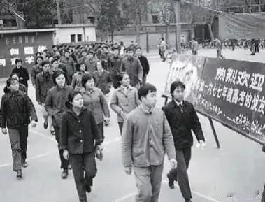 1977 年恢复高考第一年，许锦根参加街道高考招生报名会，街道干部陈琦伟知晓他曾