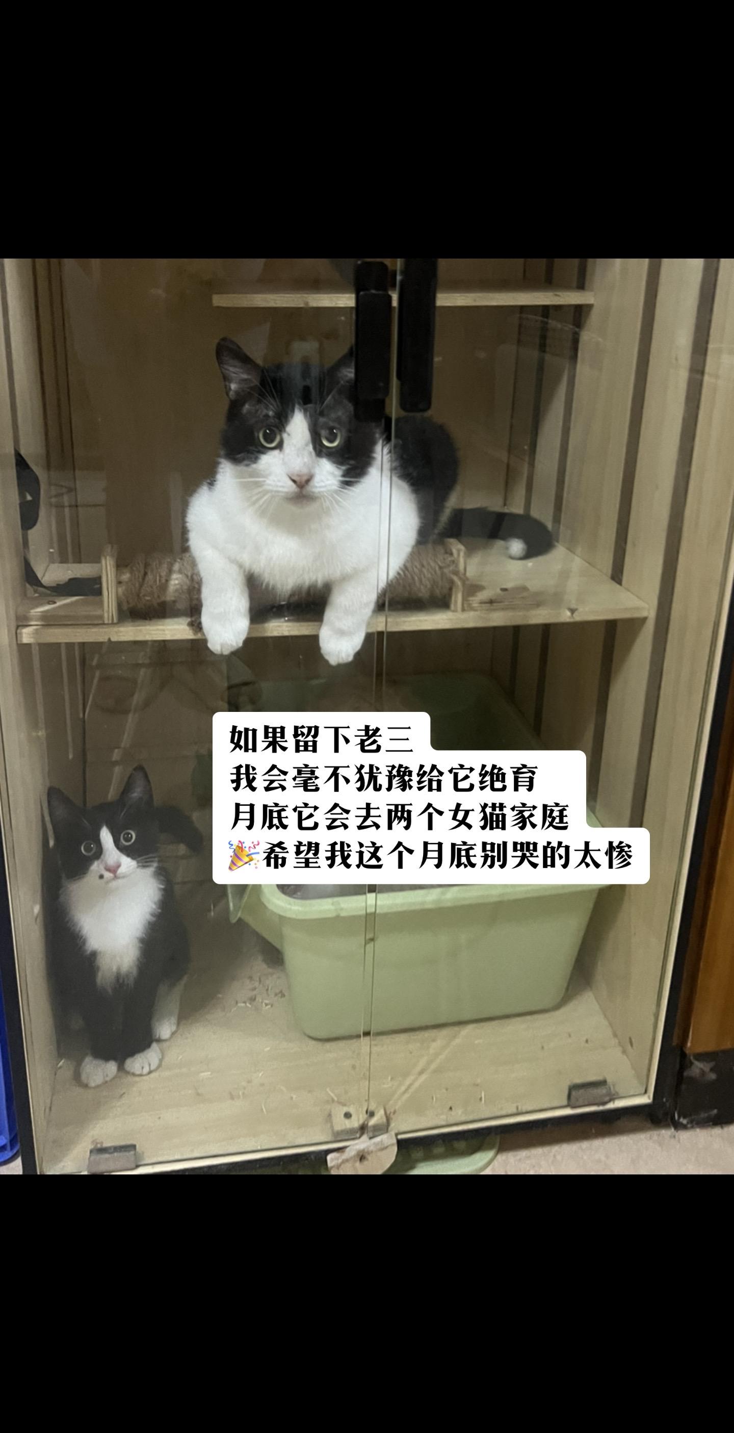 在记录一下吧 小媒婆一定会过的也很好