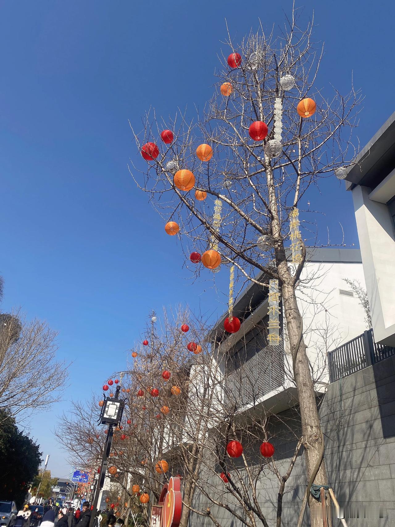 桃花坞大街，苏州的年味
拍一张我的城市美景拍一张我的城市美景 赏璀璨烟火 立春至