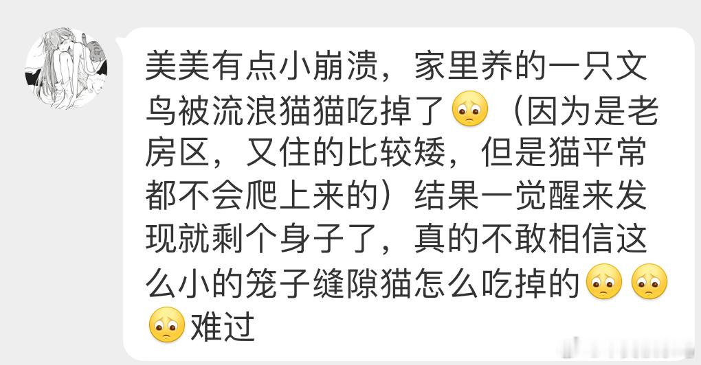 [衰][衰][衰]养小鸟一定要关好门窗以防这种意外发生 ​​​