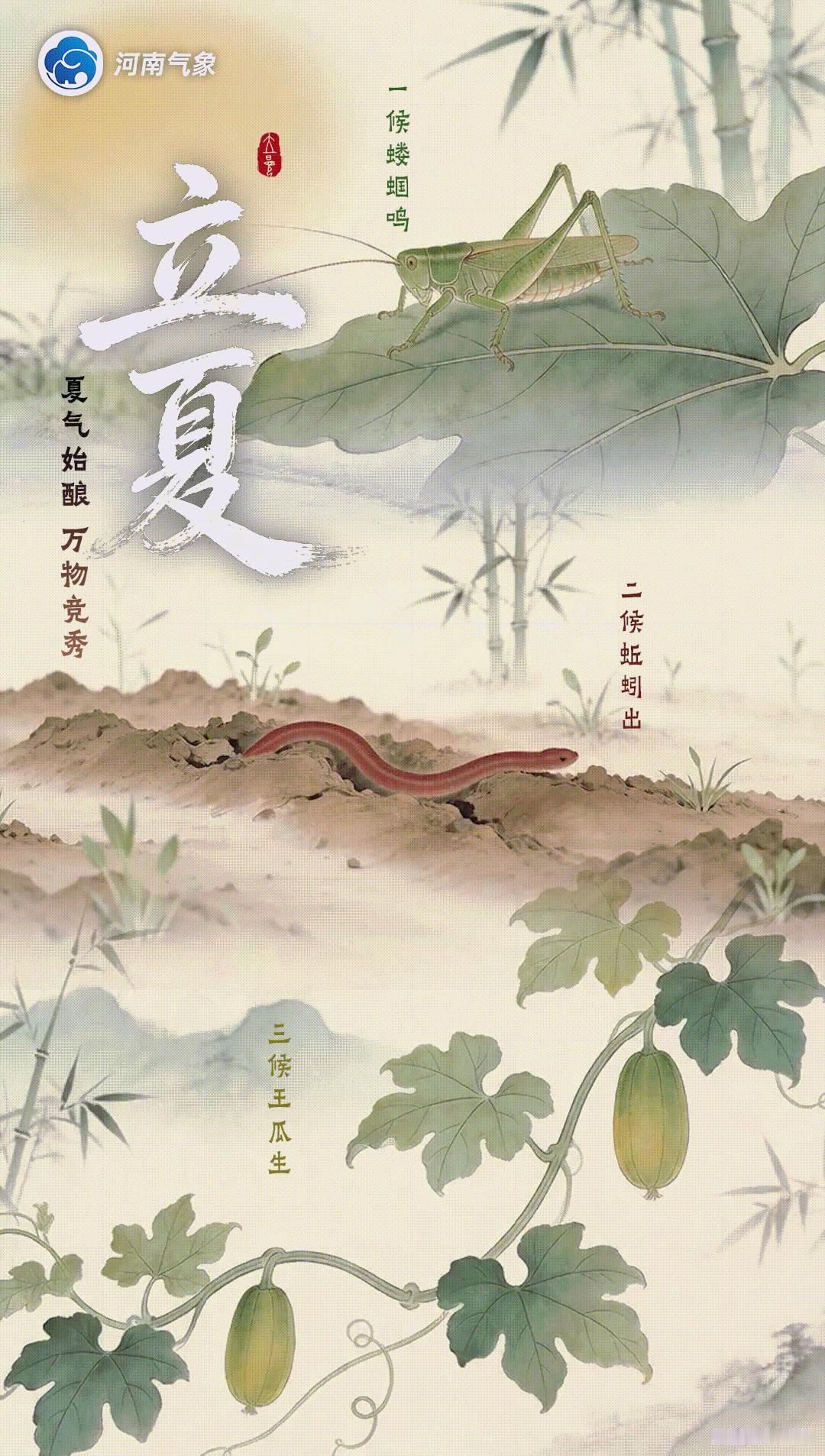 立夏 一候蝼蝈鸣，二候蚯蚓出，三候王瓜生——这是光阴的刻度。愿你也被这浓郁的生机