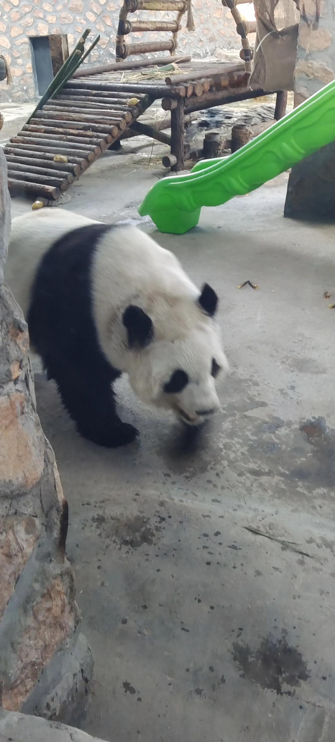 上联：赤橙黄绿青蓝紫，终成一色。下联应该怎么对前后左右两边，总有方向你也来对下联