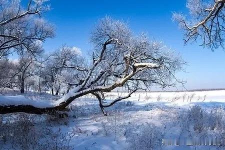 2023年疫情过后春节的第一场大雪，农历正月十八的晚上雪在天空上飞飞扬扬，慢慢撒