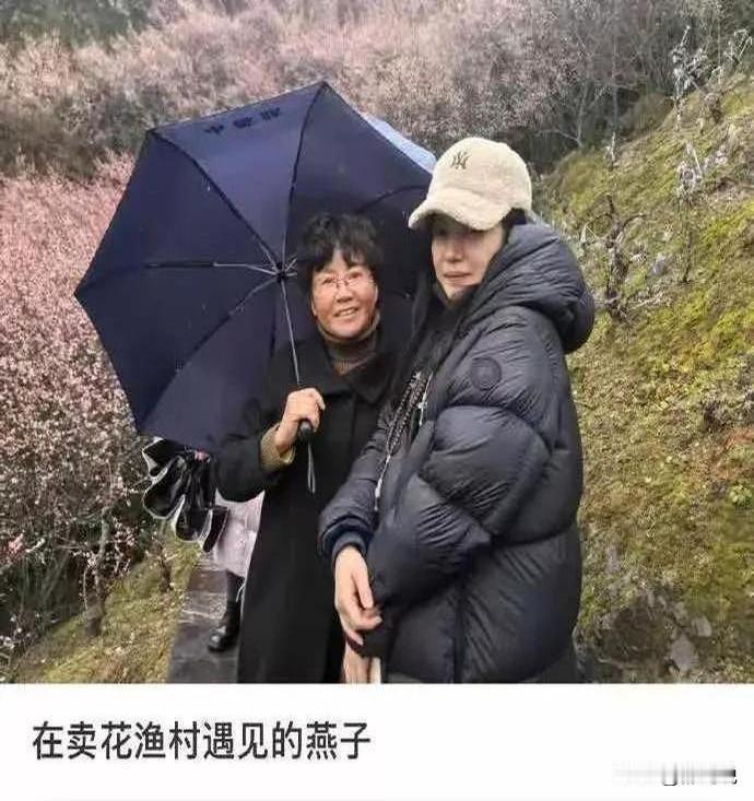 赵薇最近被拍到在安徽老家菜市场采购食材，素颜状态下穿着灰色卫衣低调现身。

据悉