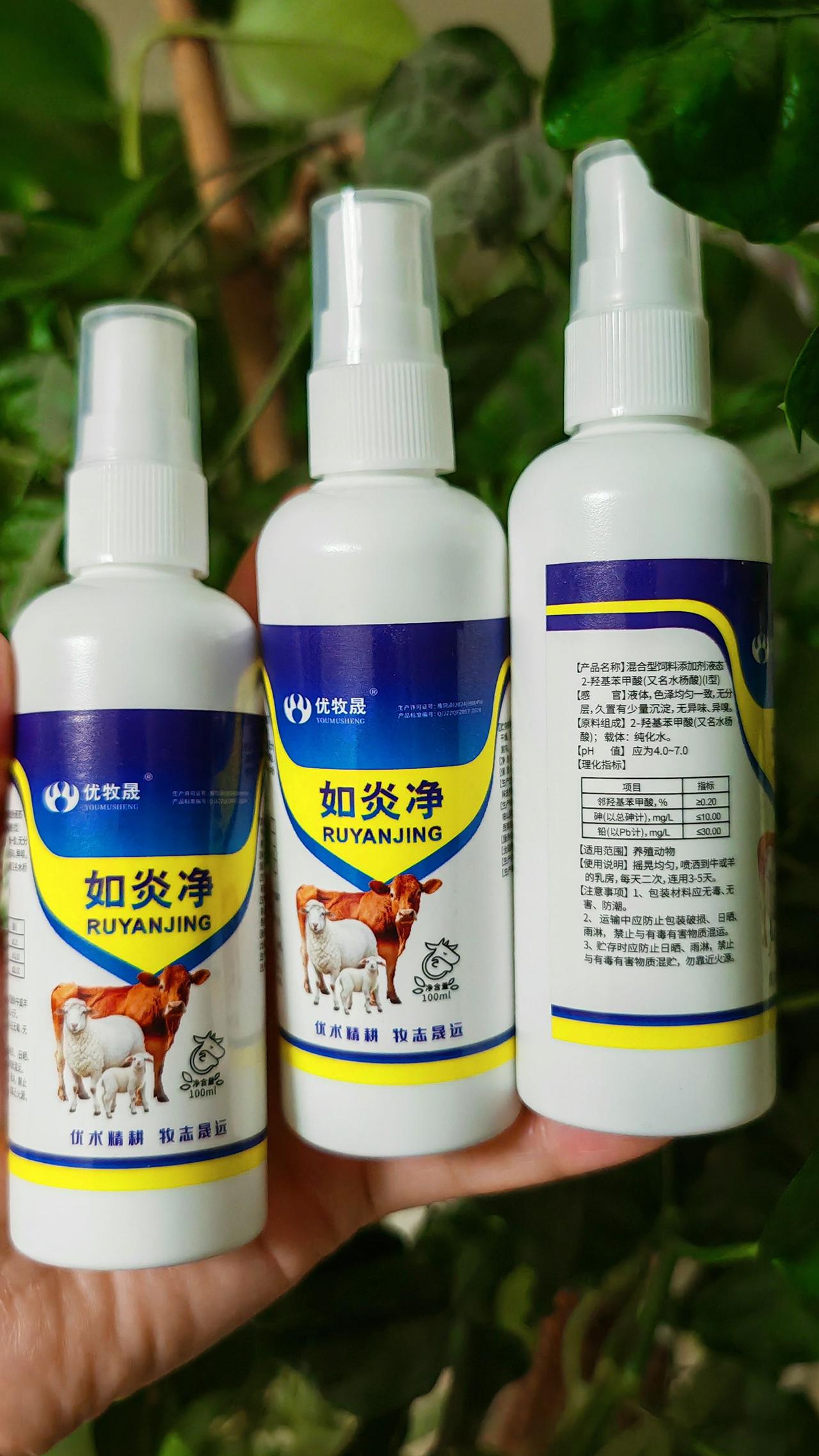 养羊人 农村养羊 养殖场专用