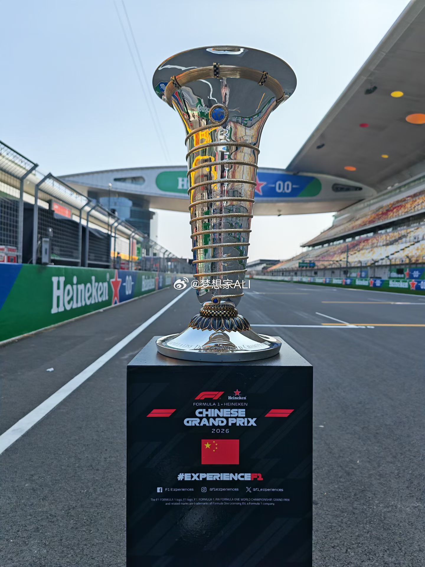 花落谁家呢❓梦想家ALI