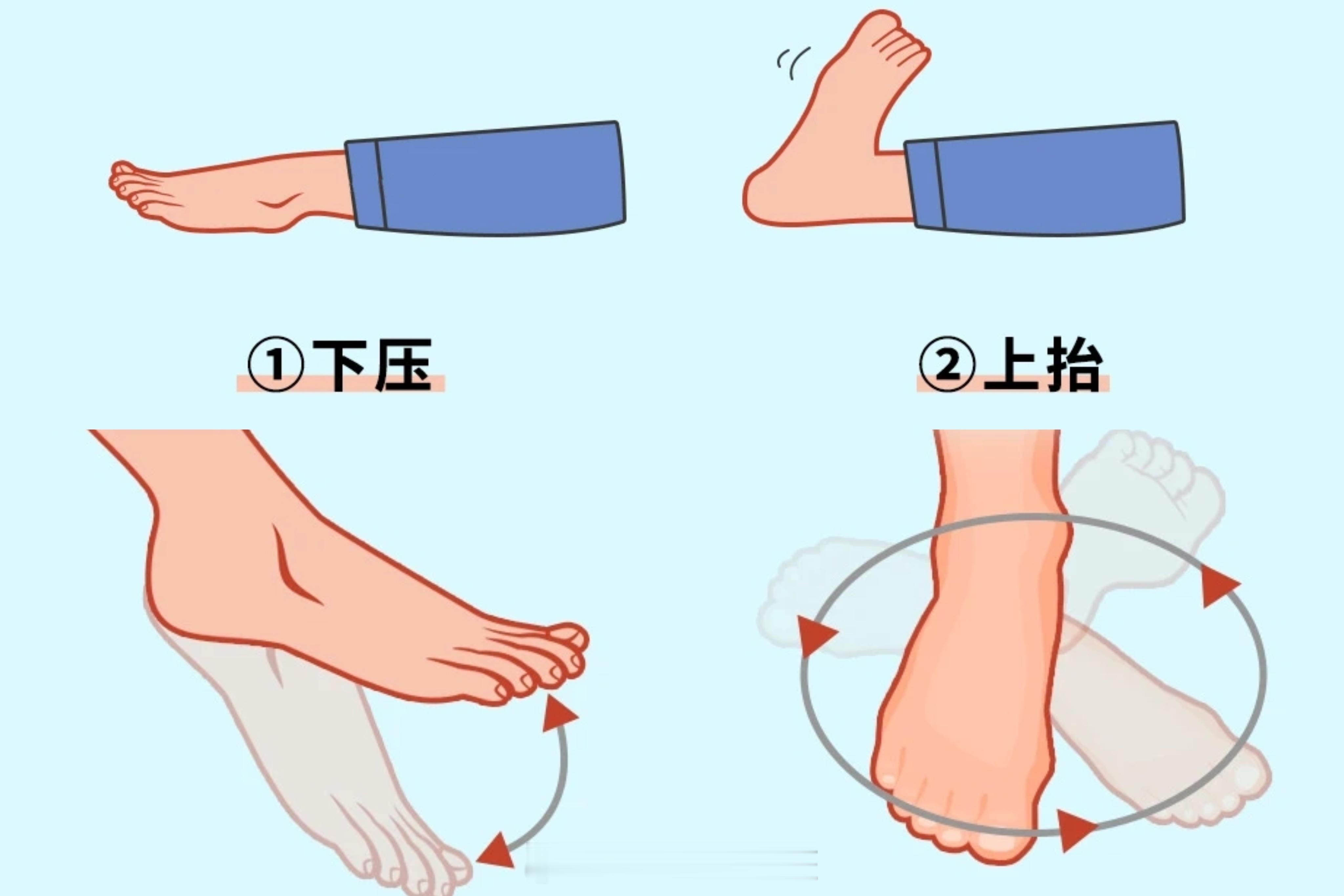 #真的建议坐久了勾勾小腿#实际上踝泵运动，预防血栓的一个常用动作…适用的人群不仅