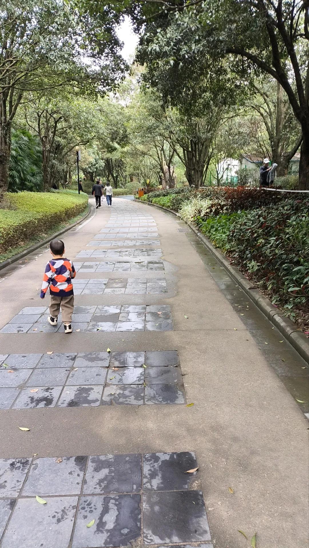 #桂林有哪些值得玩的景点#桂林园林植物园，有山有水有树，有绿道，梅花、竹林，桂花