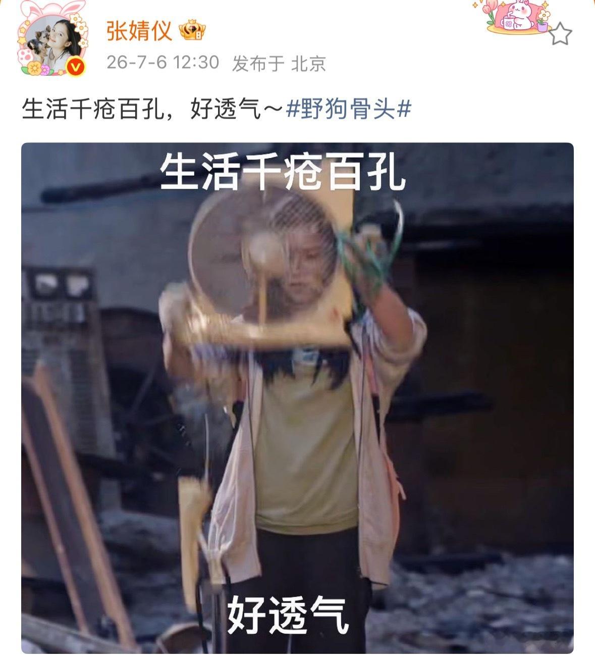 张婧仪抽象文案配苗靖抽象人生苗靖生活千疮百孔好透气 真的不中了们苗靖就这样抽象文