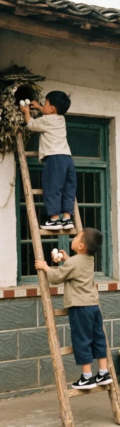 红庙乡，真的在这里？
鸟窝原来在那里…鸟巢…
在鸟窝里掏出了~~，
事情刚刚开始