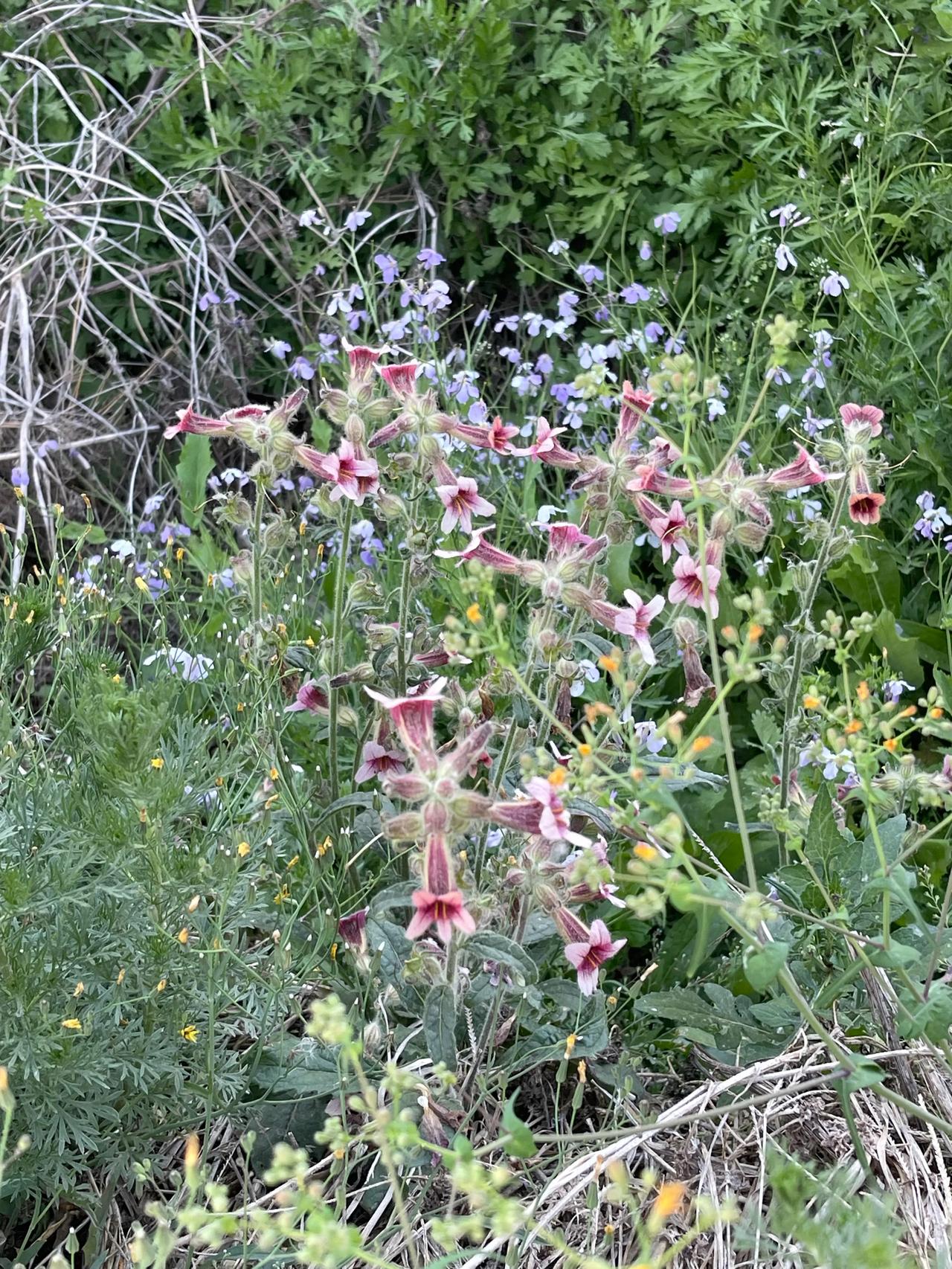 #您能简要概述下您对中医的看法吗？#中医博大精深，属于“象”科学范畴，与现代医学