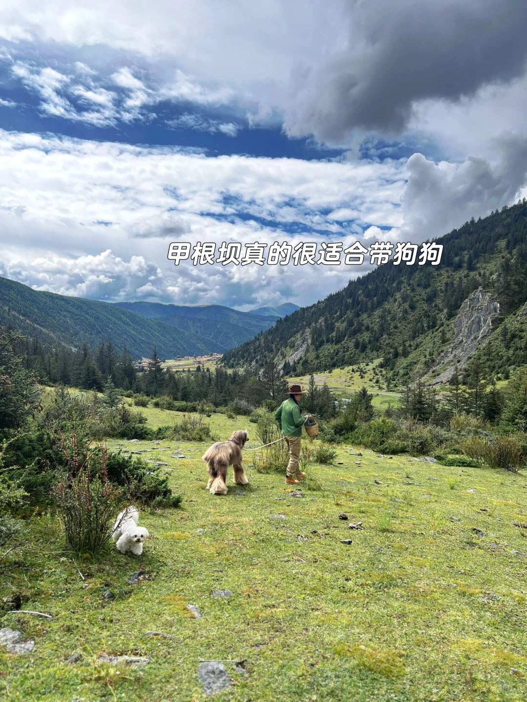 📍甲根坝3天2晚|带小狗自驾游勇闯川西🏔️
