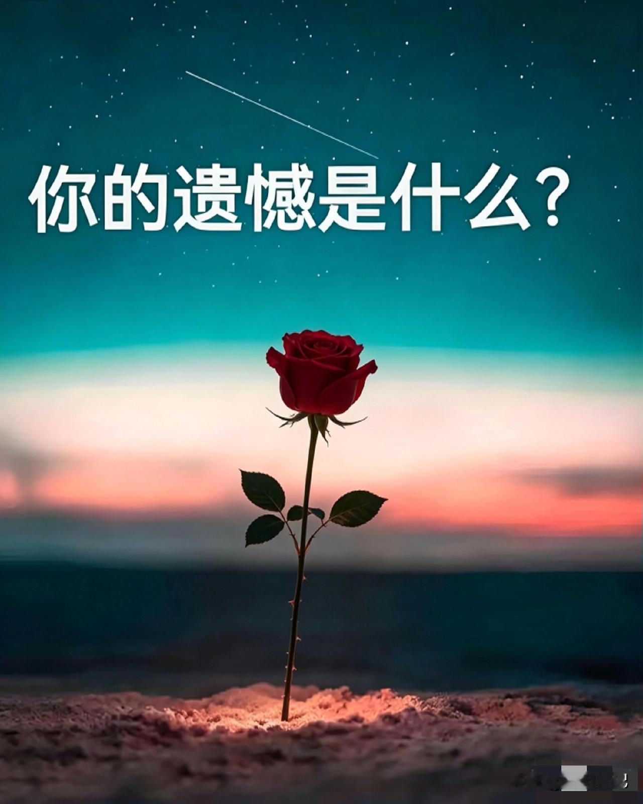 假如（                ）就好了！