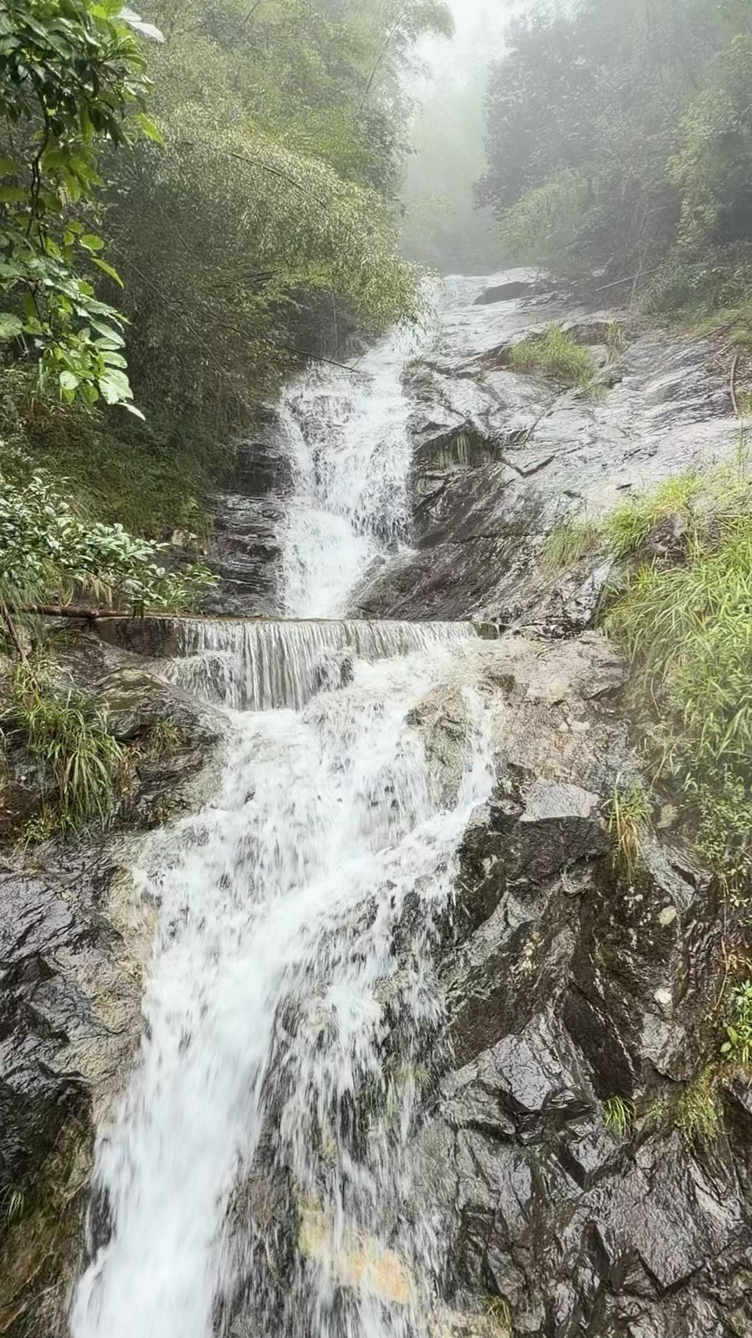 🌊网文作者假死复活疑与提现有关🌊三伏天养生指南 🌊加长版三伏天 🌊网文作