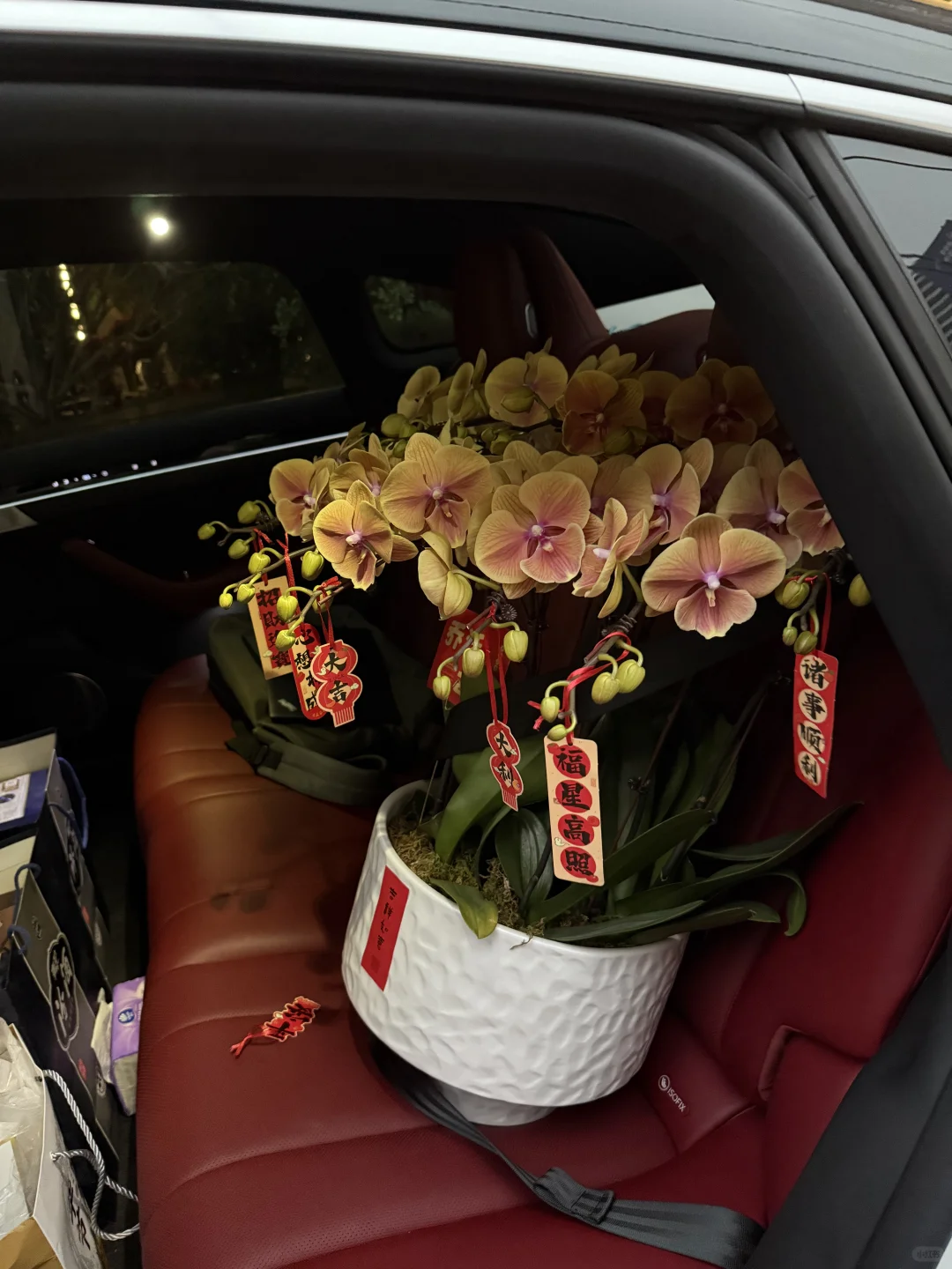 送人乔迁的花！