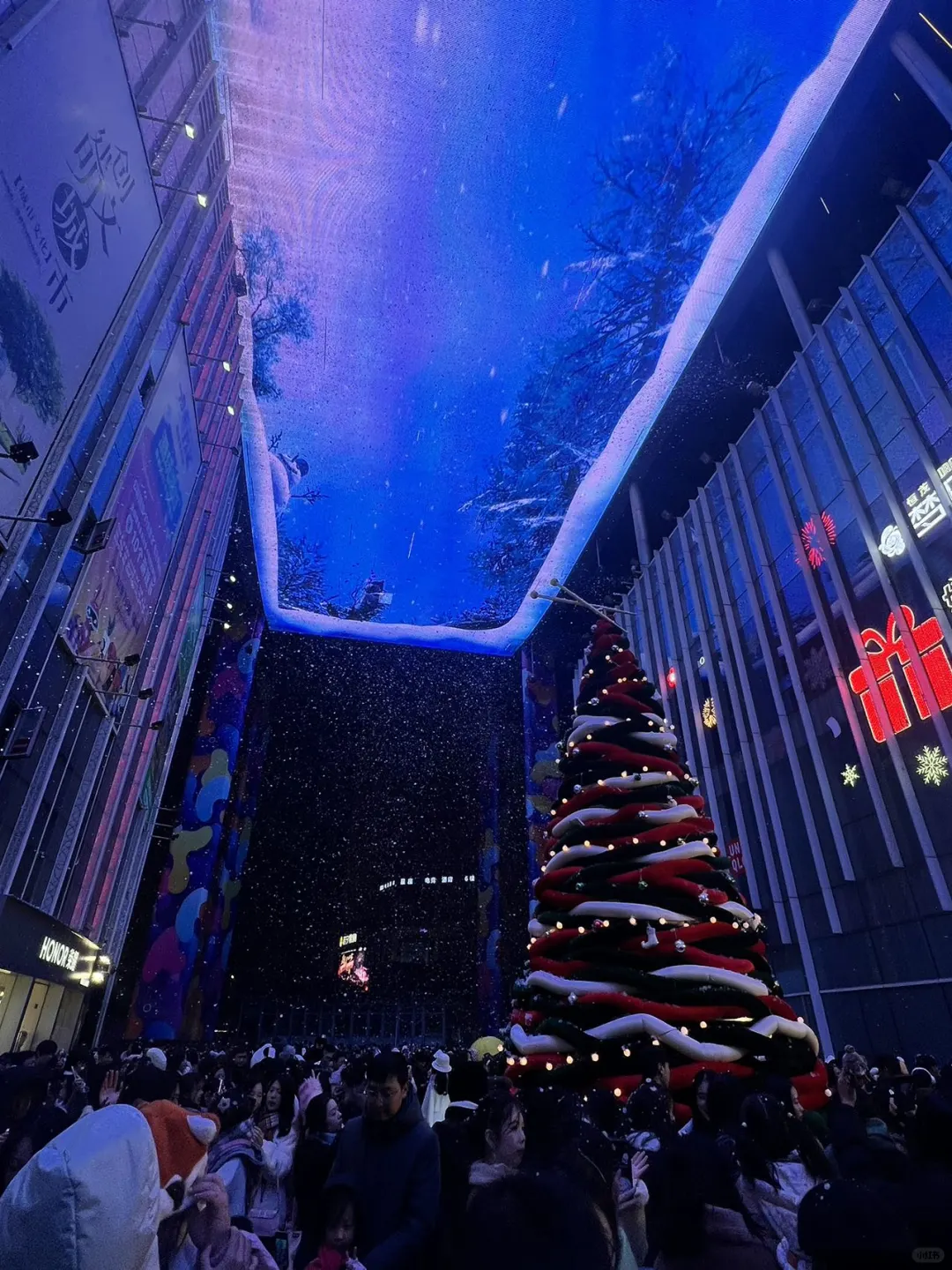 南昌也有啦！Jellycat毛线圣诞树🎄
