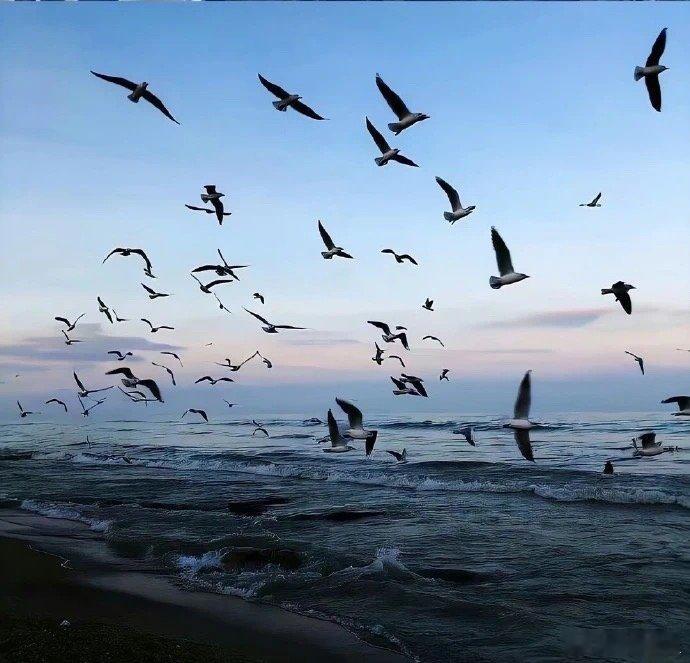 在谷底也要开花，在海底也要望月#每日一善[超话]# ​​​