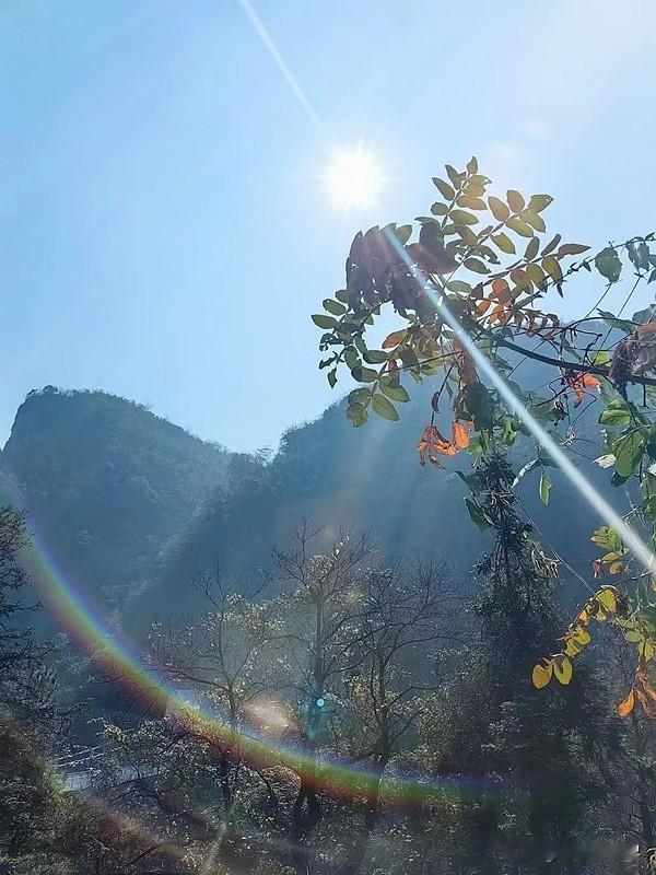 今日出门，邂逅了一场绝美风景。路过一片花海，五彩斑斓的花朵肆意绽放，红的像火，粉