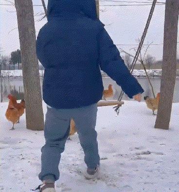 网友:东北姑娘就是好，下雪不知道往家跑！