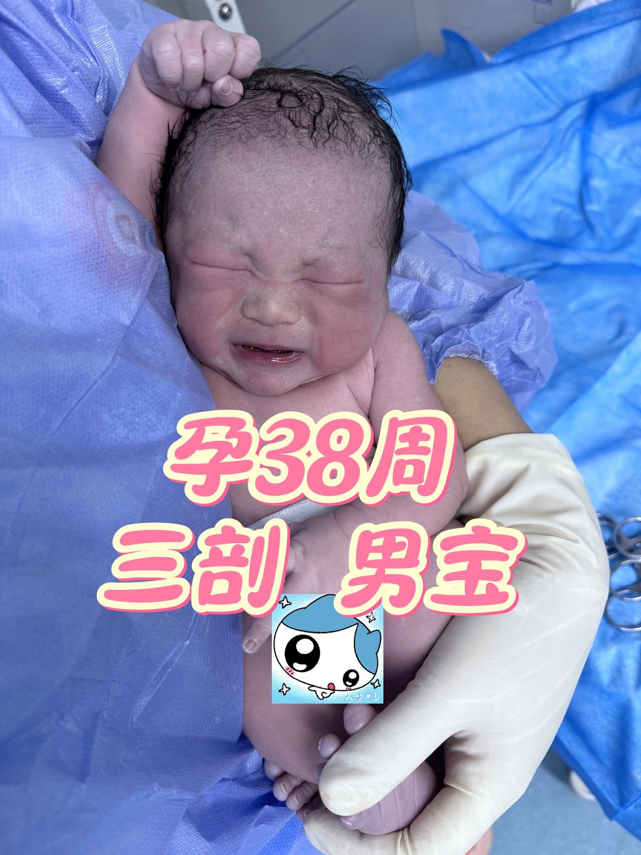 一个时辰内出生的2位小朋友🎉