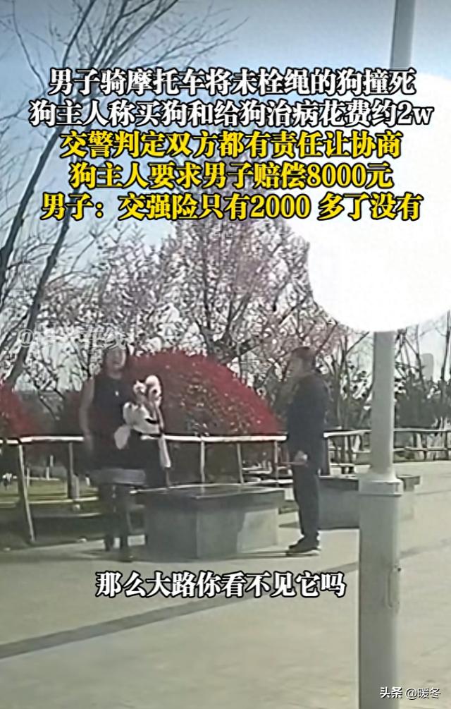 陕西一摩托撞死未栓绳狗，主人张口要8000，车主：我交强险就2000，多一分没有