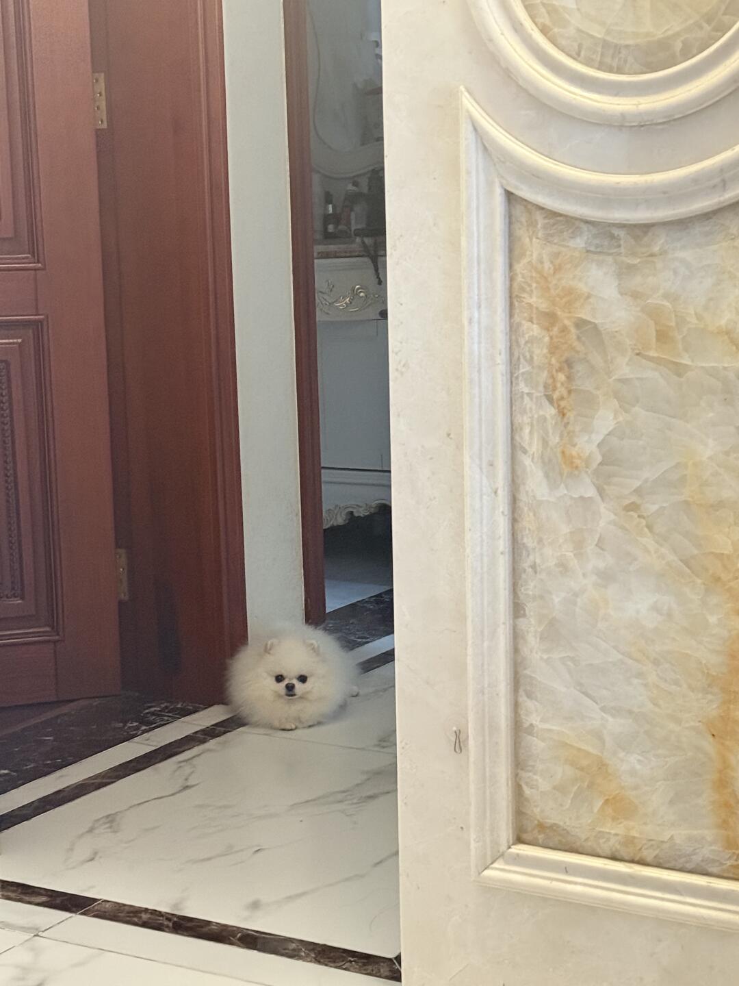 肥胖是我的代名词