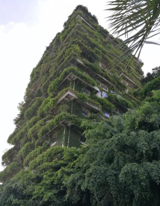 碧桂园地产公告称：债券兑付存在重大不确定性，将严格按照相关文件，落实偿债保障
讲