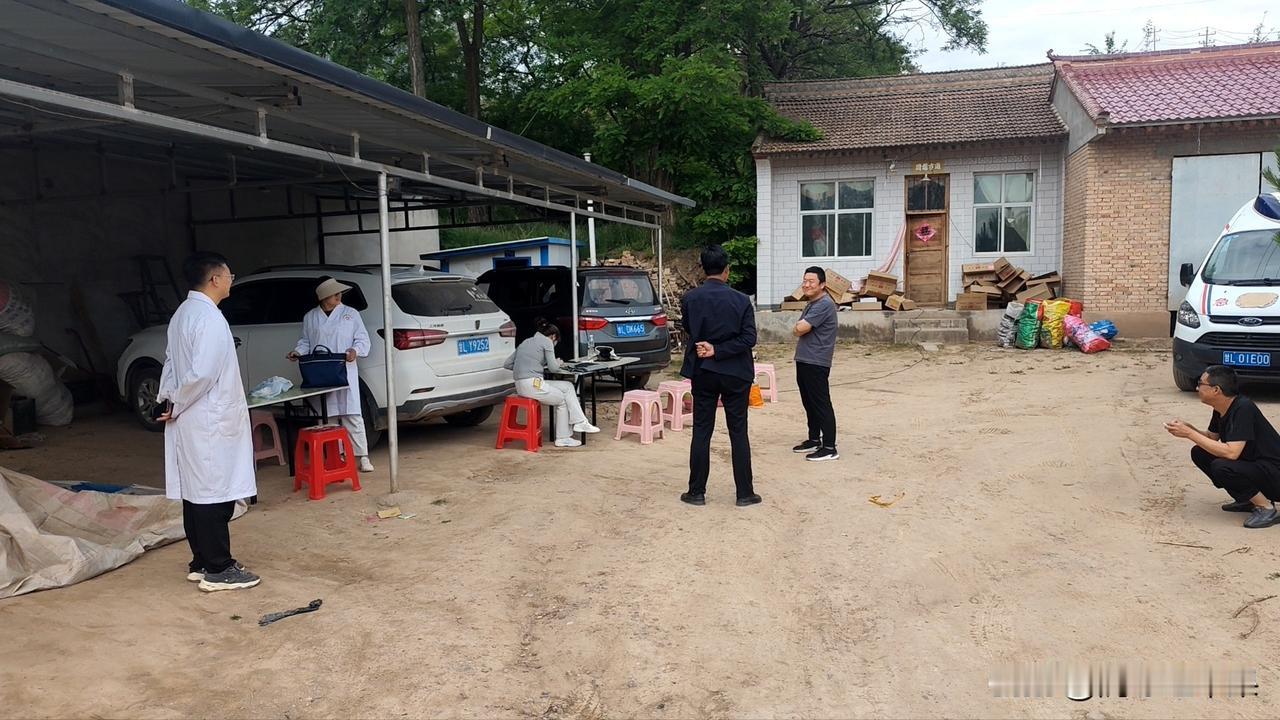 人生并非只能被动经历，你也可以成为自己故事的温柔叙述者。用从容的语调讲述起伏，用