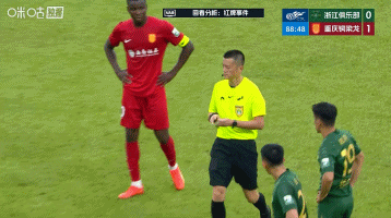 米特里策双手叉腰，两腿斜立着，一副唯我独尊的样子。红牌领到了就要去干主裁判，幸亏