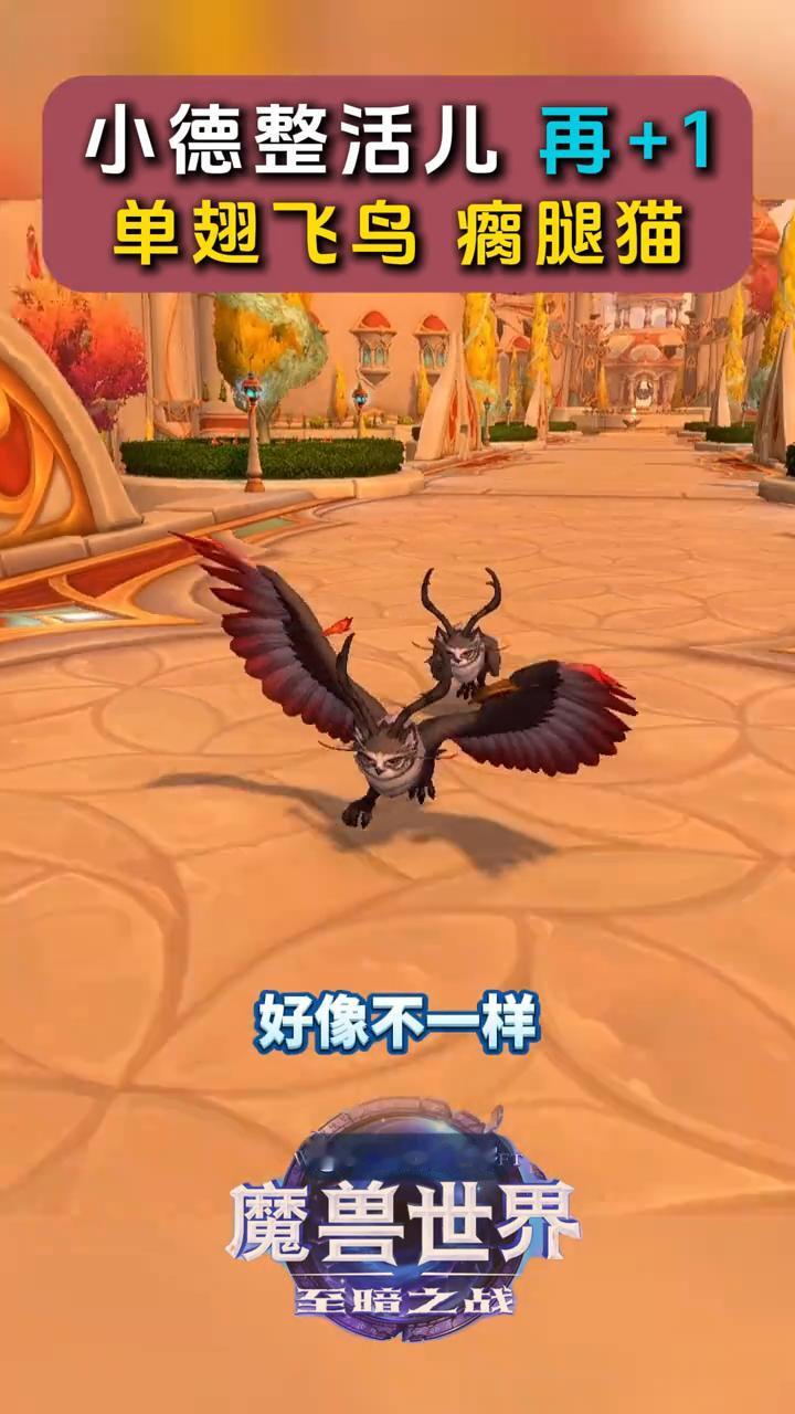 小德整活儿再+1：单翅飞鸟瘸腿猫。
见过只用一只翅膀飞行的小德不？如此身残志坚，