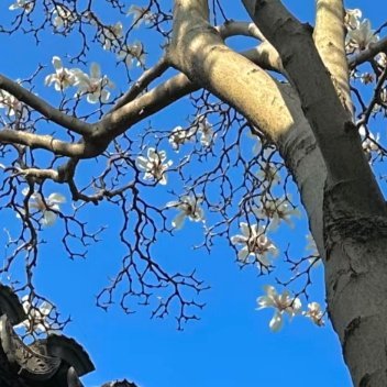 每日一善  每日一善    阳光信用 天行健，君子以自强不息；地势坤，君子以厚德