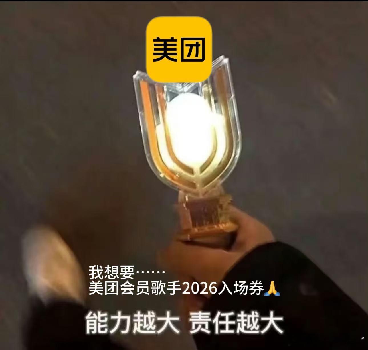 还有谁没刷到么，上美团 App搜“歌手”进惊喜多选一好像就能有歌手入场券、还有芒