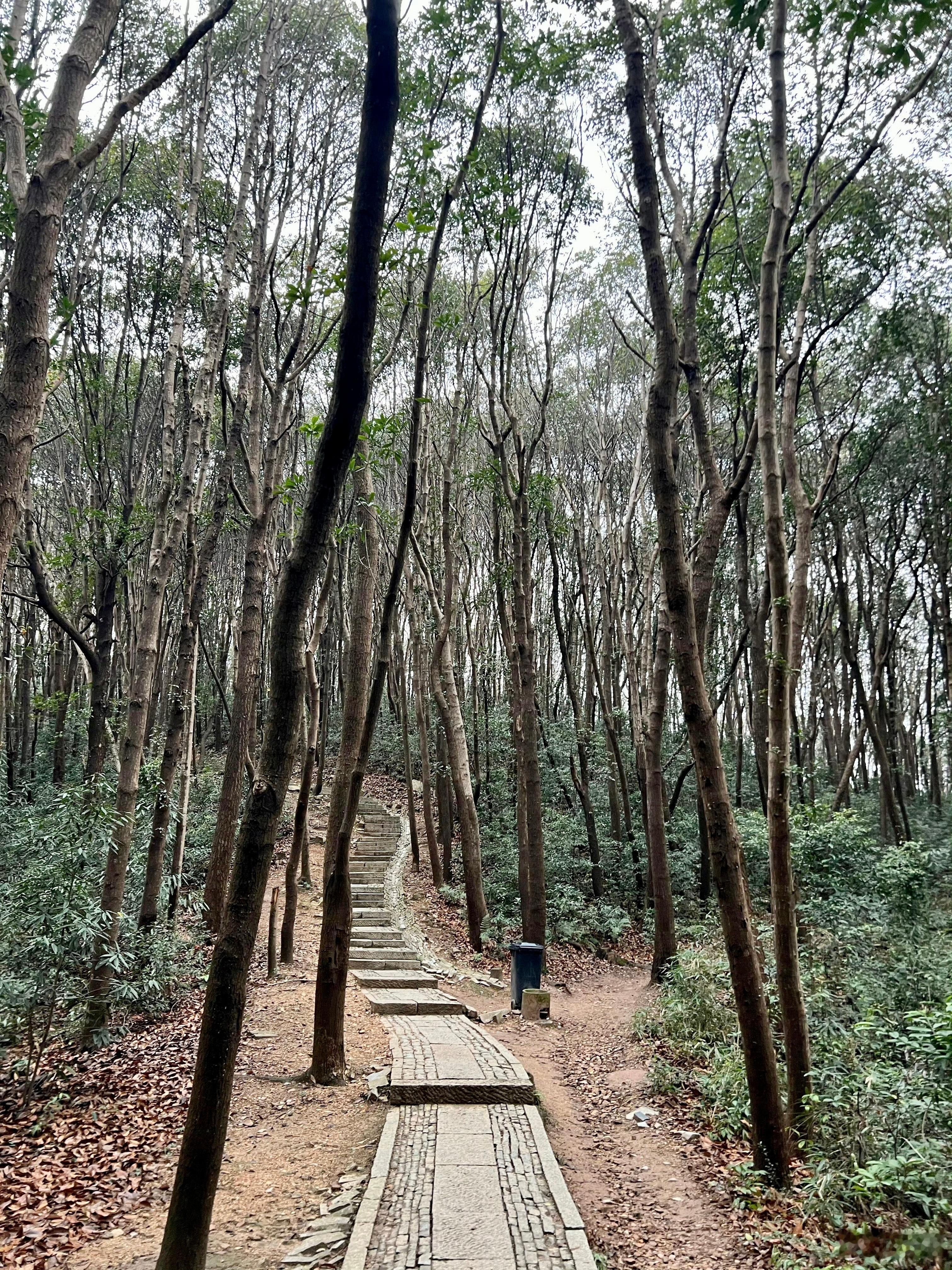 我见过太多人，问题明明已经摆在眼前，却本能地选择回避。不是不会解决，而是不敢解决