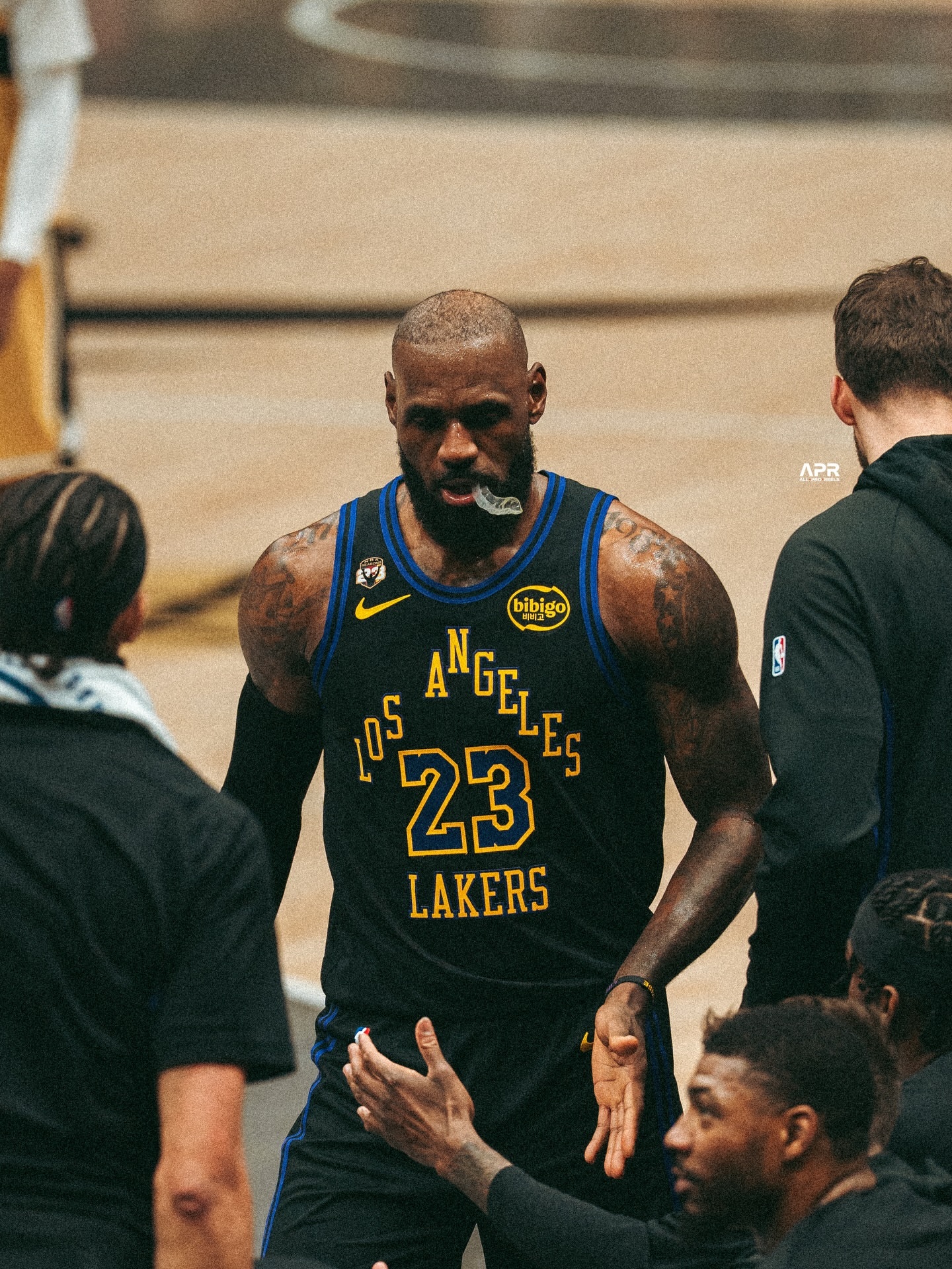 老詹&布朗尼詹姆斯洛杉矶湖人