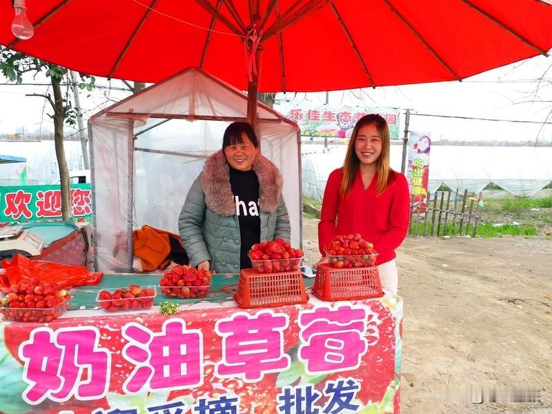 望洪镇东和村的特色果蔬上市啦，这简直是吃货的福音！东和村独特的地理环境，孕育出的