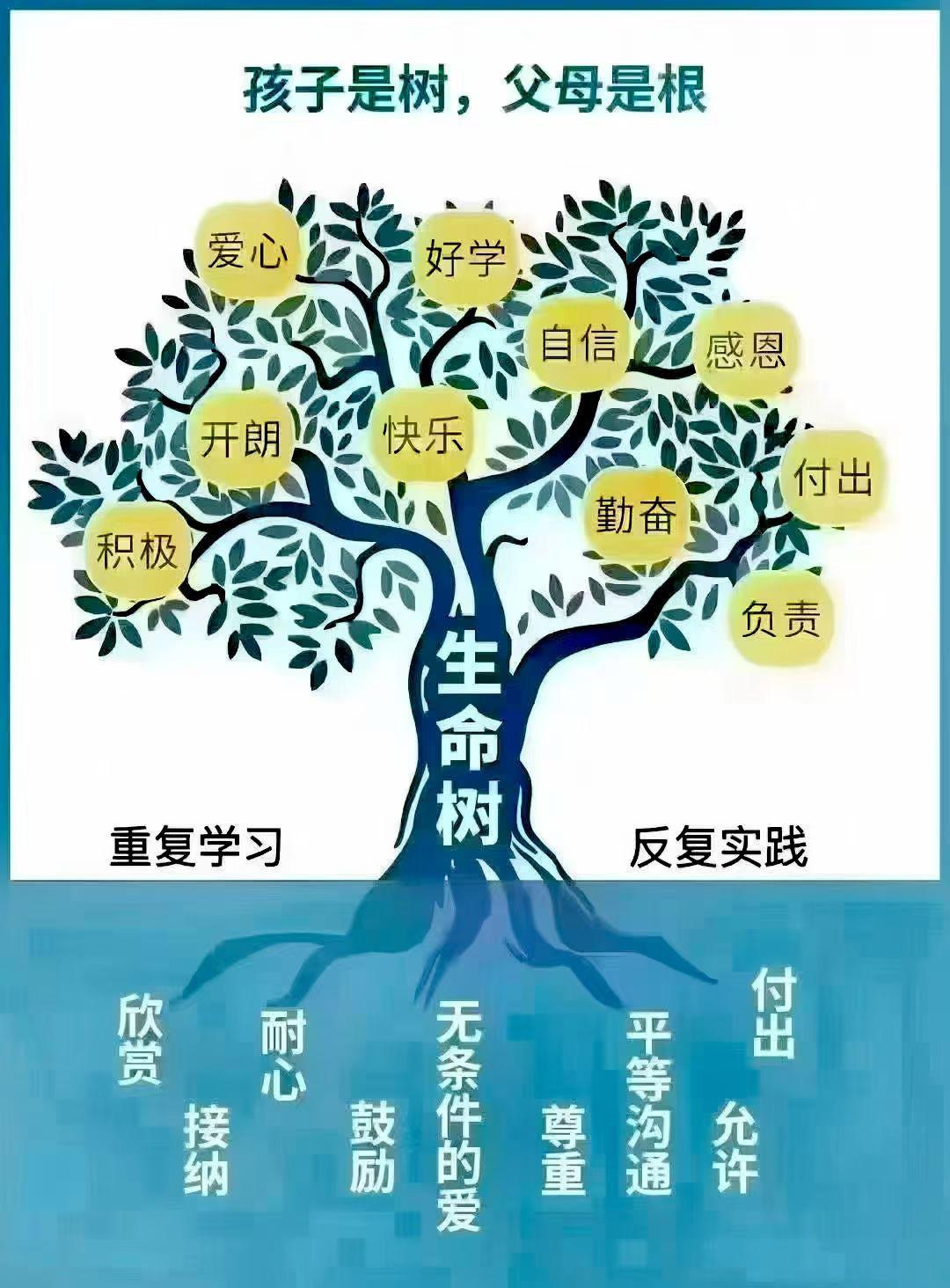 孩子是树🌳父母是根🪵
相互依存🌟共同生长🌱
只有根深枝繁才能结出硕果🍊