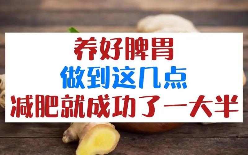 脾胃不好的人，不要整天喊着减肥，你减不了肥，你越减身体越差。
中医减肥的理念很多