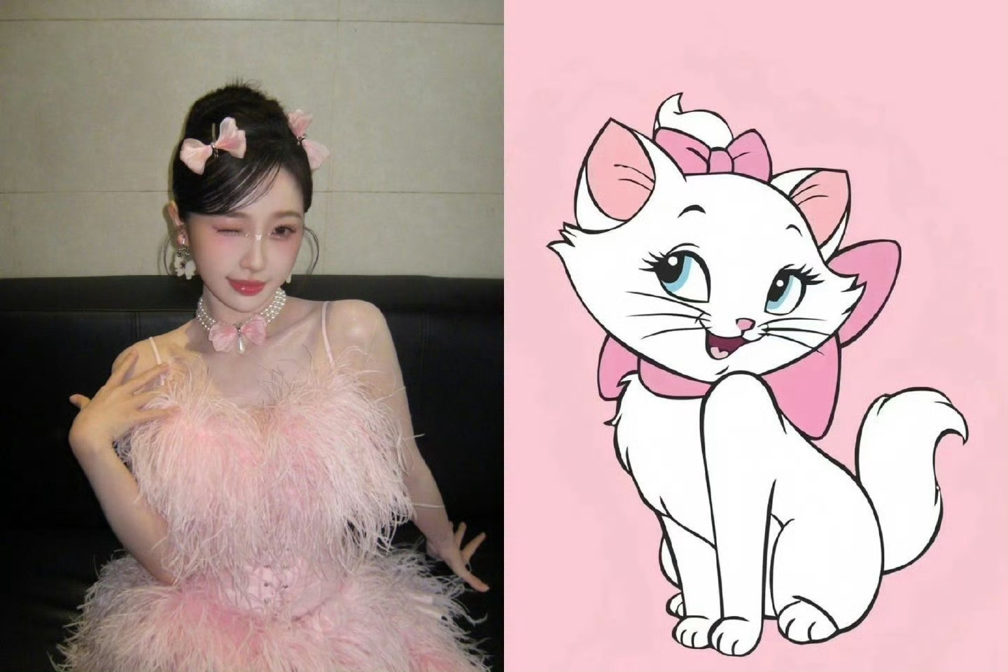 去年今日虞书欣玛丽猫🐱 